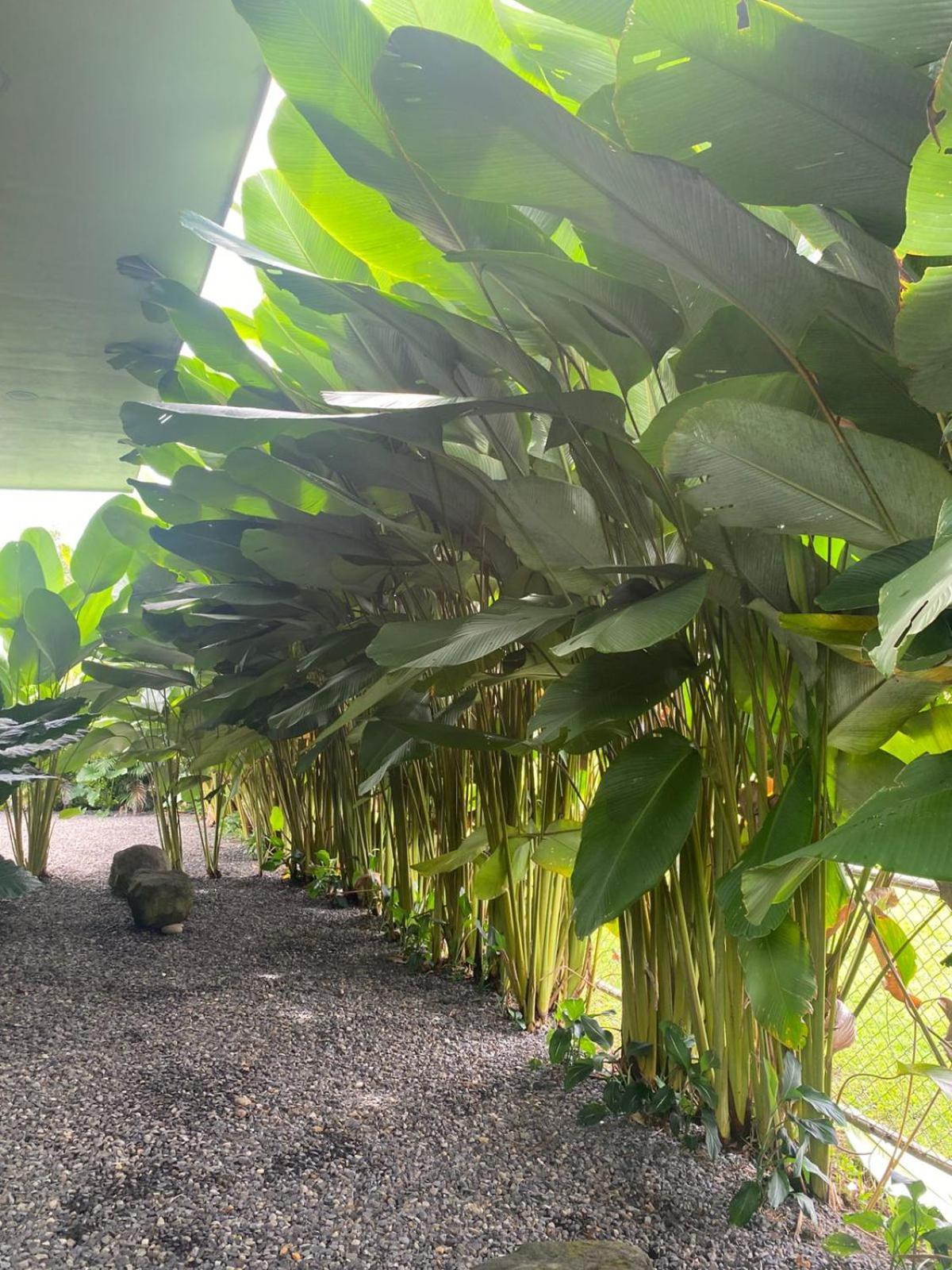 Toucan Home La Fortuna ภายนอก รูปภาพ